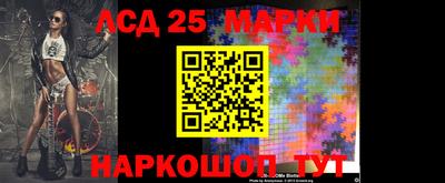 гашик Жуковский