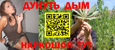 гашик Жуковский