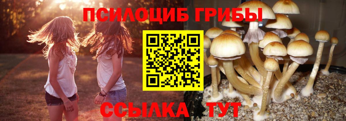 Псилоцибиновые грибы Magic Shrooms  Галлюциногенные грибы GOLDEN TEACHER  Вход с VPN  Озёрск 