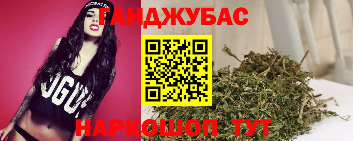 Каннабис индика Озёрск